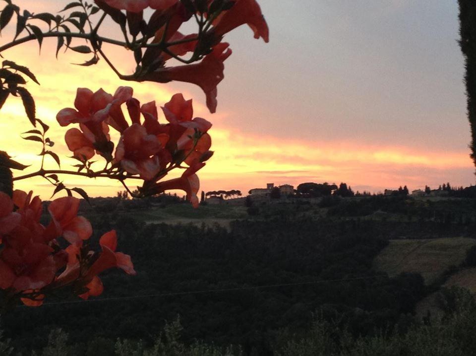 Il Glicine Hotell San Gimignano Exteriör bild